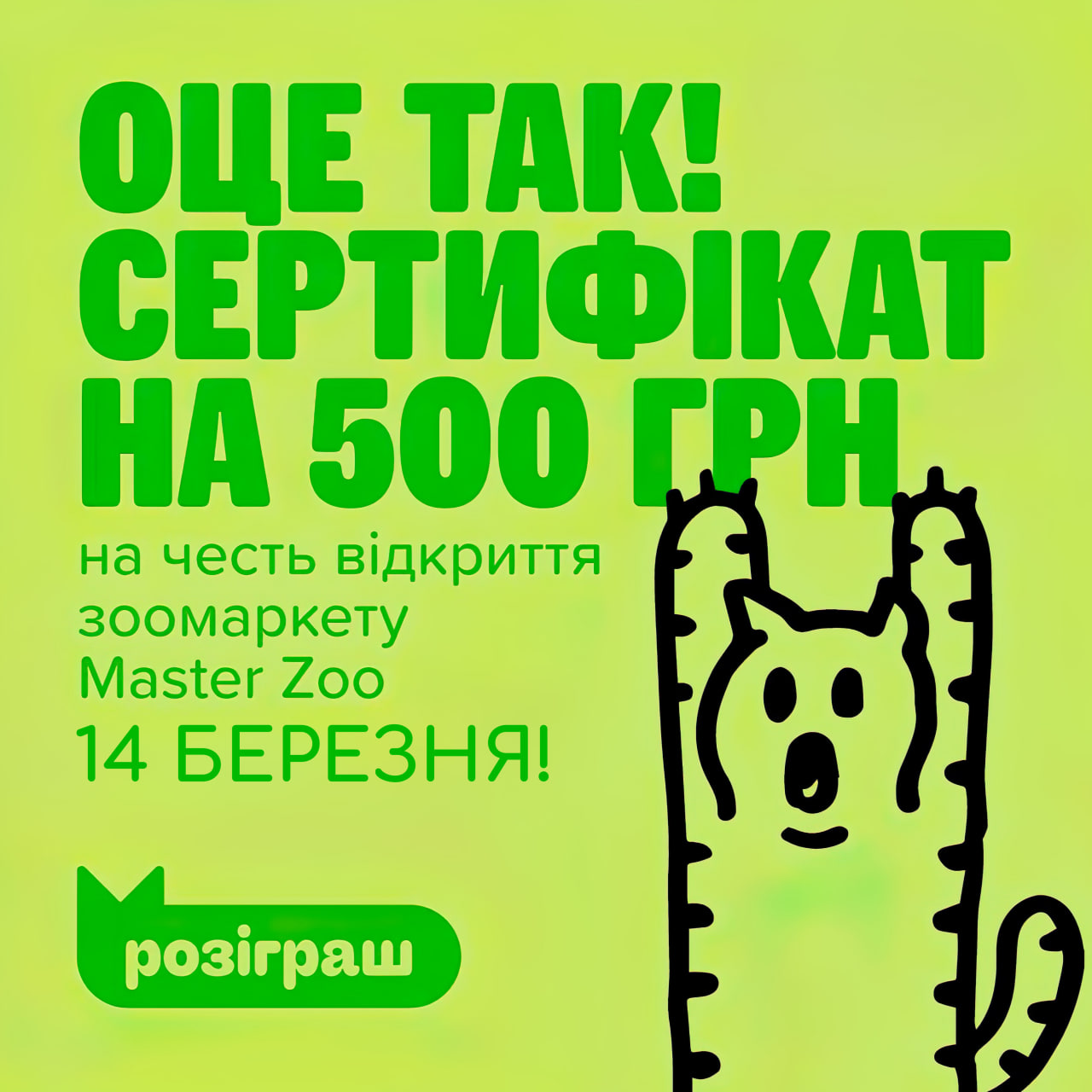 Master Zoo вже у City Center!
