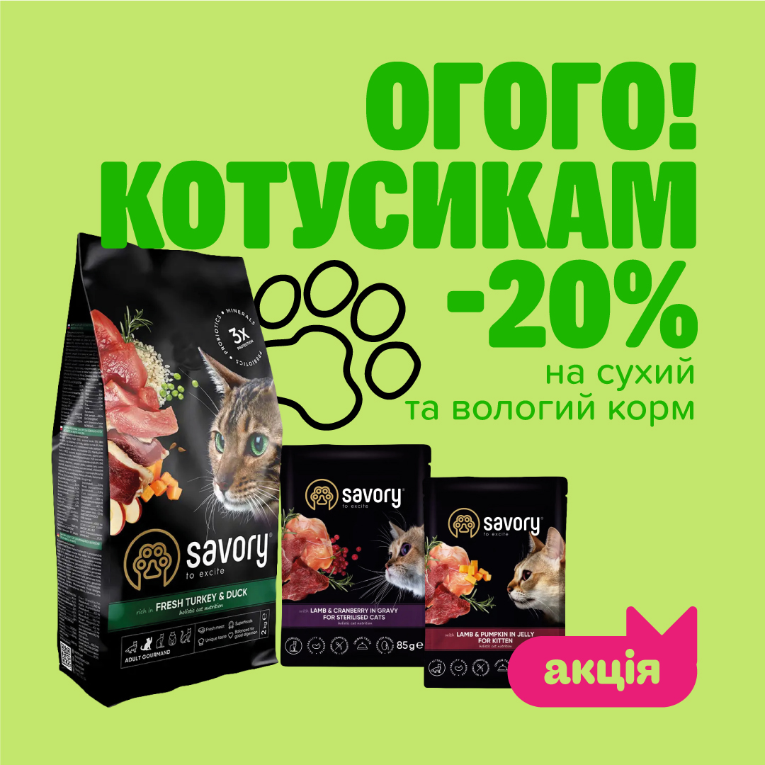 Тисячі котусиків оберуть Savory!